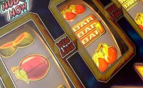 Как войти на сайт Casino Cat